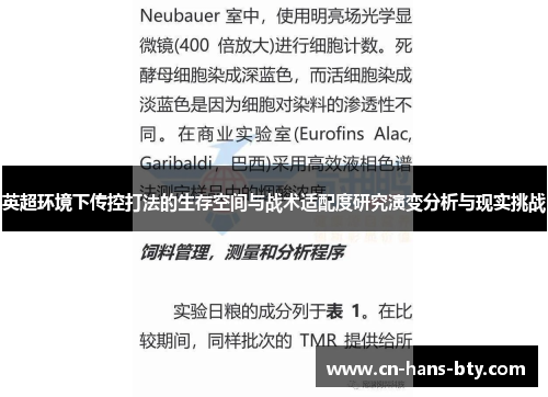 英超环境下传控打法的生存空间与战术适配度研究演变分析与现实挑战